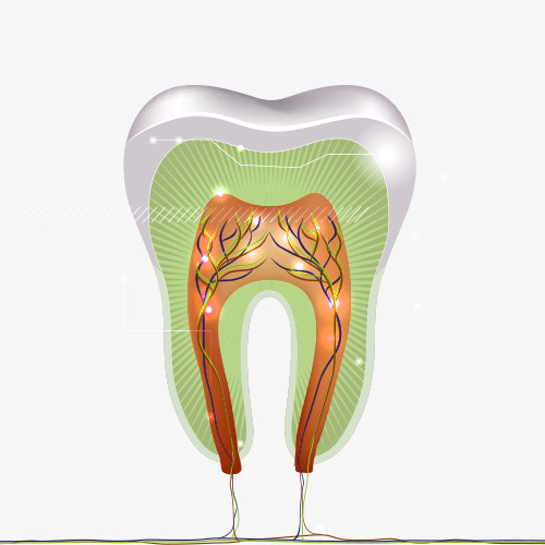 Tus Dentistas de Confianza te explican las diferencias entre endodoncia y obturación dental