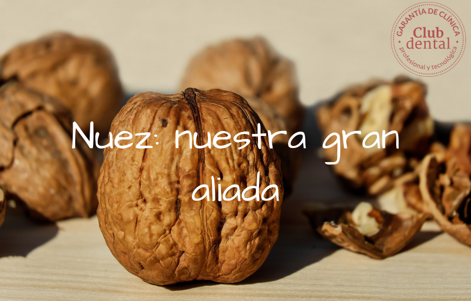 Nuez_-nuestra-gran-aliada.png